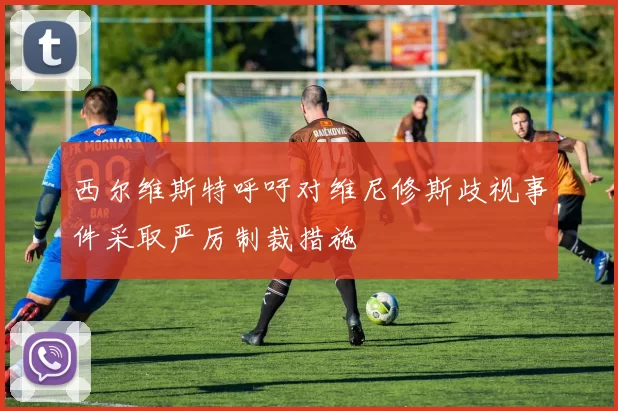 西尔维斯特呼吁对维尼修斯歧视事件采取严厉制裁措施
