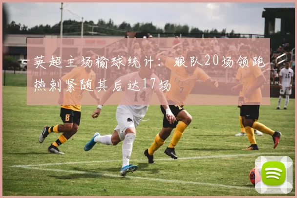 英超主场输球统计：狼队20场领跑热刺紧随其后达17场