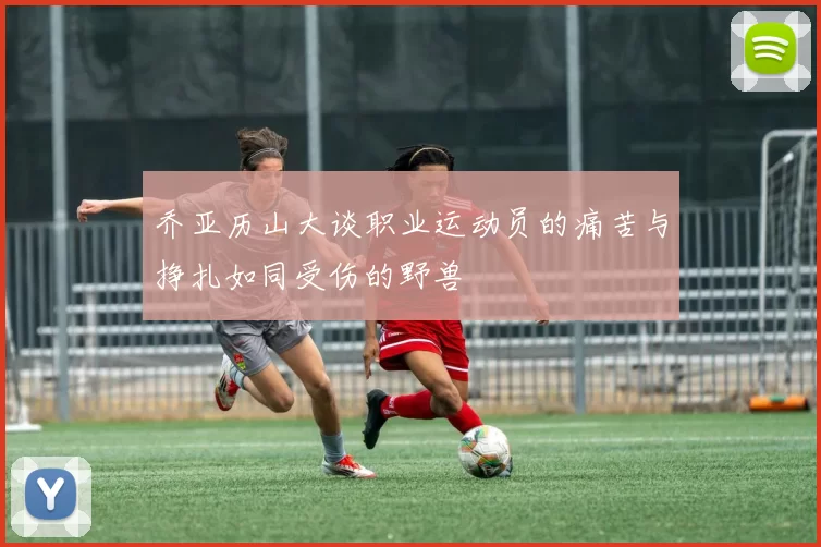乔亚历山大谈职业运动员的痛苦与挣扎如同受伤的野兽